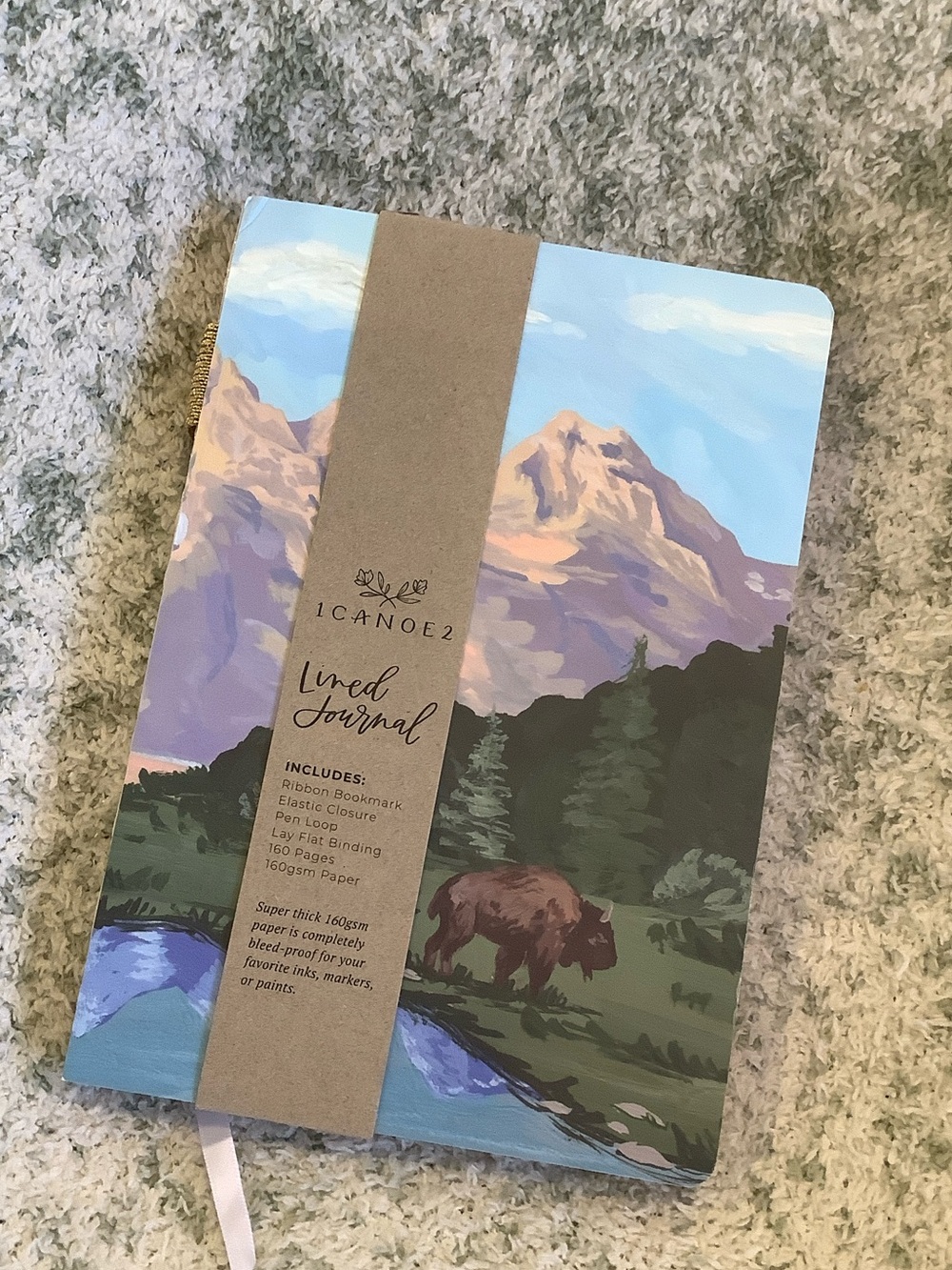 Scenic Mountain & Bison Lined Travel Vacation Camping Journal NWT 160pgs